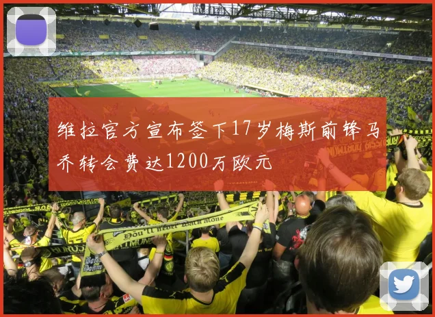 维拉官方宣布签下17岁梅斯前锋马乔转会费达1200万欧元